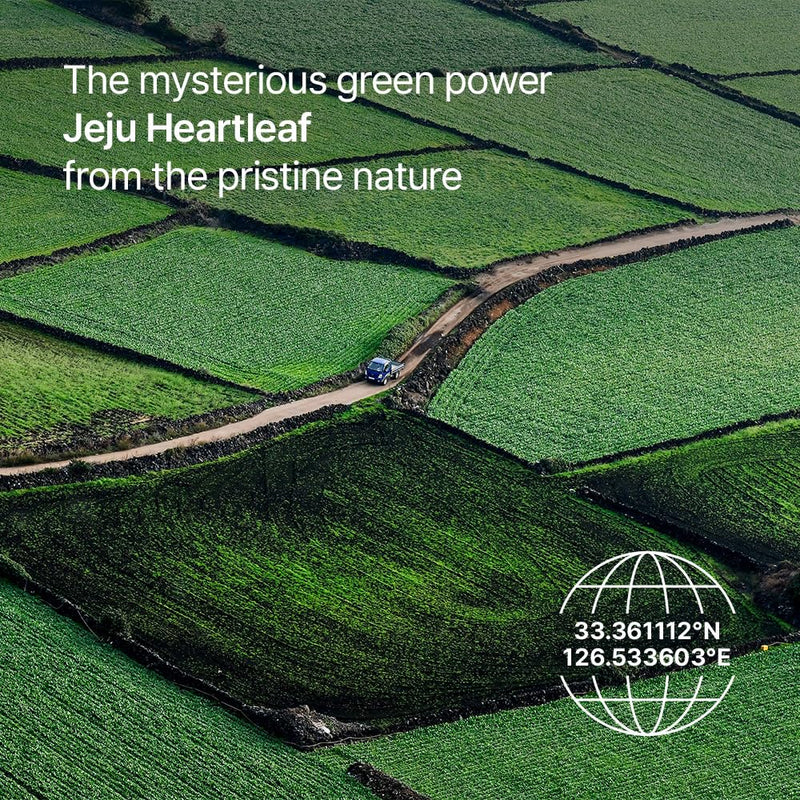 Parnell Panthenol Heartleaf Calming 60 Pads, Hydration Pads for face, Korea Skin Care, Korea Beauty - PawsPlanet Australia