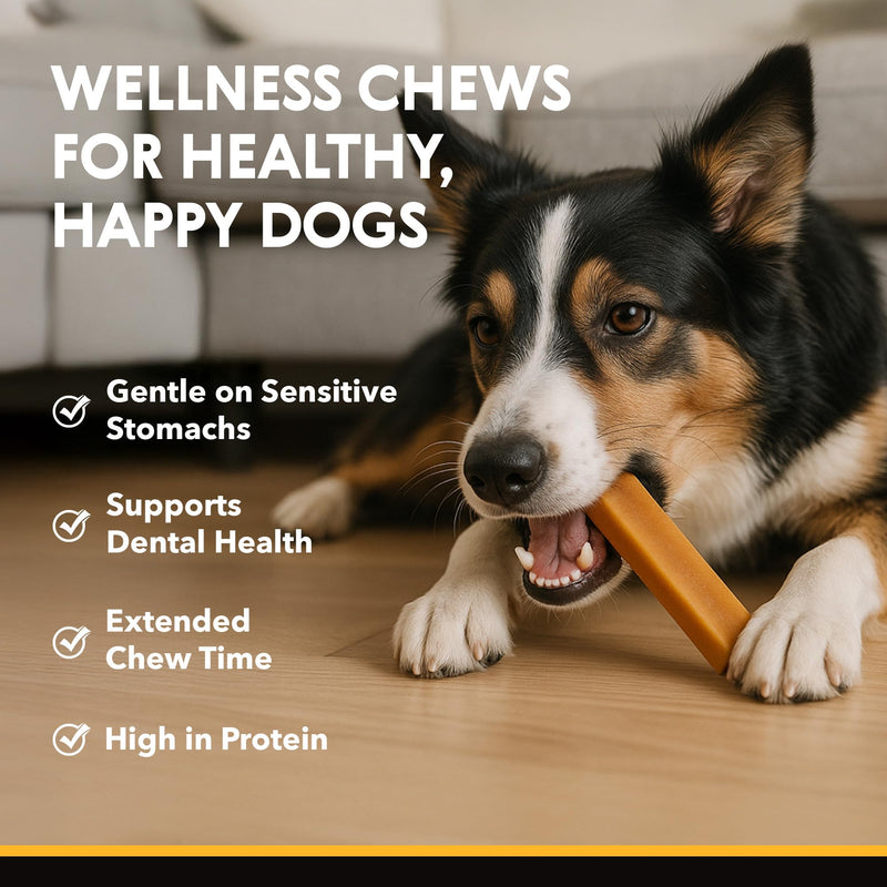 Eli Himalayan Dog Chew – 100% Natural, Long-Lasting Chews for Dogs 11–22 lbs, Protein-Rich, Gluten Free, Grain Free, Lactose Free, Safe & Healthy Dental Treats – Size Medium, 4 Pack 2.3 Ounce (Pack of 4)