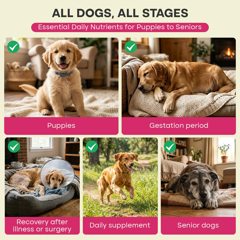 Dog Multivitamin Chews, Pet Vitamins and Supplements for Joint, Coat, Digestive Health and Immune System, Contains Vitamins, Minerals and Lysine, for Puppies, Senior Dogs and Pregnant Dogs