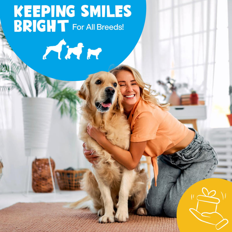 Mint Dental Care Wipes 60 Counts - Dogs Tooth Cleaning Wipes to Reduce Plaque & Tartar Buildup - Dogs and Cats Wipes for Cleaner Mouth - Dog Tooth Brushing Kit - PawsPlanet Australia
