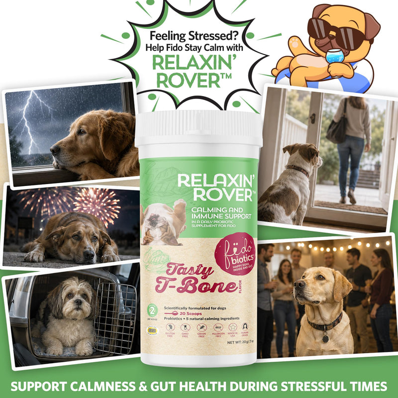 Fidobiotics Relaxin’ Rover Calming Supplement, Probiotics for Dogs with Valerian, Chamomile & GABA for Stress & Anxiety Relief, Tasty T-Bone Flavor 20 Servings 20 Day