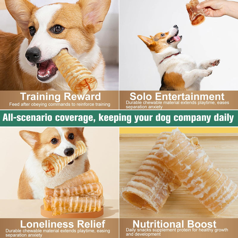 6 Inch Beef Trachea Dog Chews (6pcs - 8oz)-Trachea Dog Treats,Digestible and Safe Chews for Dogs - Natural High Protein for Medium & Large Dogs,Teeth Grinding & Cleaning, Supports Dental Health 0.33 Ounce (Pack of 6)