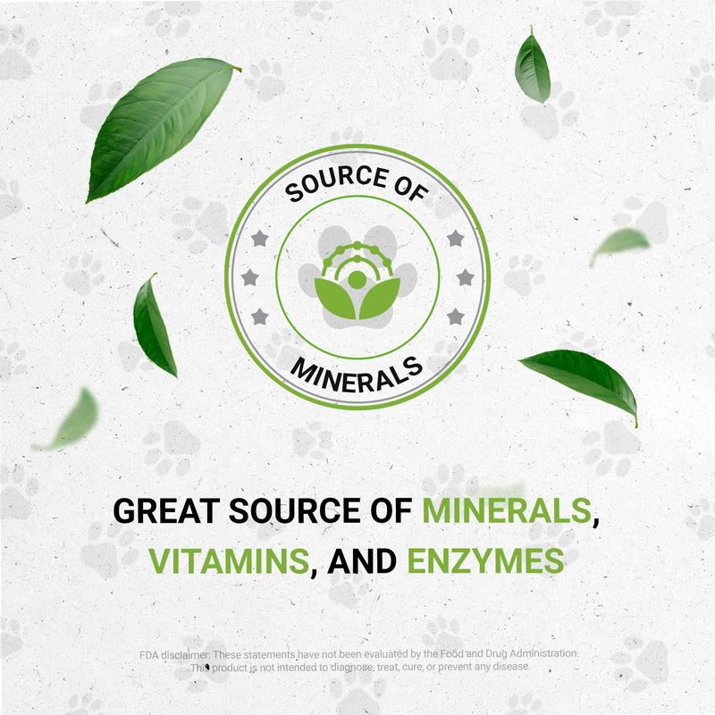 Lion's Immune Boost | Natural Herbal Dietary Supplement | Immune Support in Cats | Alcohol-Free Extract, Cat's Claw, Echinacea Root, Shiitake, Cordyceps, Milk Thistle 2 oz - PawsPlanet Australia