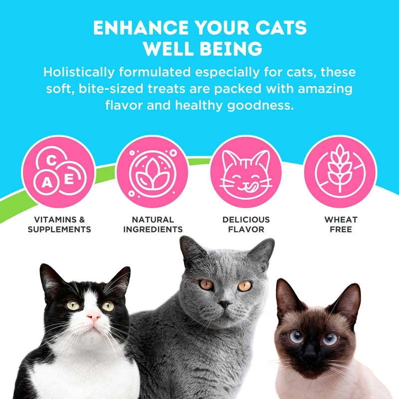 Only Natural Pet Hairball Care - Healthy Skin and Coat Support - Soft Chews for Cats – Digestive Supplement with Flaxseed, Psyllium Husk and Corn Silk – Chicken and Liver Flavor – 60 Count - PawsPlanet Australia