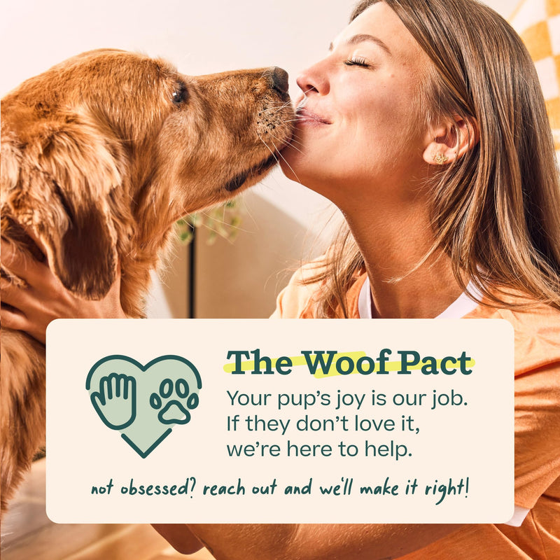 WOOF Hip & Joint Pupsicle Refill Pops - Dog Supplement for the Pupsicle Toy to Support Joint Health, Recovery, and Mobility - Large Pops Large 7 Count Hip & Joint Pops