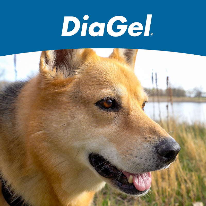 DiaGel for Large Dogs (61+ lbs.) - Orally Administered Gel for Occasional Loose Stools and Digestive Upset - Natural Pet Products - Van Beek Natural Science