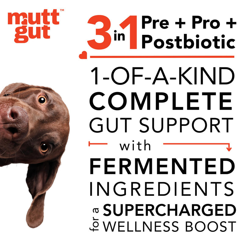 All-Natural 3-in-1 Dog Probiotic, Prebiotic, and Postbiotic Supplement Powder - Probiotics for Dogs with 135 Billion CFUs, Anti Diarrhea, Digestive Enzymes & Antioxidants (90g) 90g - PawsPlanet Australia