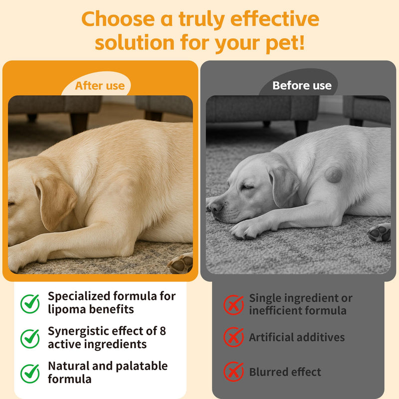 Lipoma Treatment for Dogs – L-Carnitine Helps Maintain Fat Metabolism, Energy, and Vitality; Turkey Tail, Reishi, Curcumin, and Coenzyme Q10 Help Promote Cellular, Immune, and Overall Health