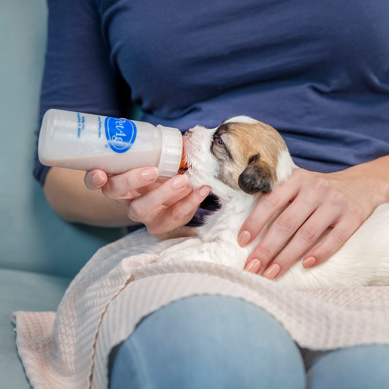 PetAg Esbilac Goat's Milk Powder Puppy Milk Replacer - Milk Formula for Puppies with Sensitive Digestive Systems 12 Ounce (Pack of 1) - PawsPlanet Australia