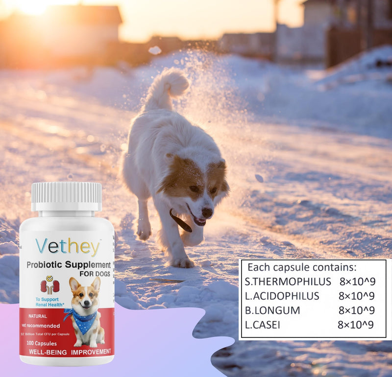 Probiotic Supplement for Dogs,Kidney Health Supplement for Dogs & Cats - NO Refrigeration Required - Help Support Kidney Function & Manage Renal Toxins - 32 Billion CFU, 100 Capsules
