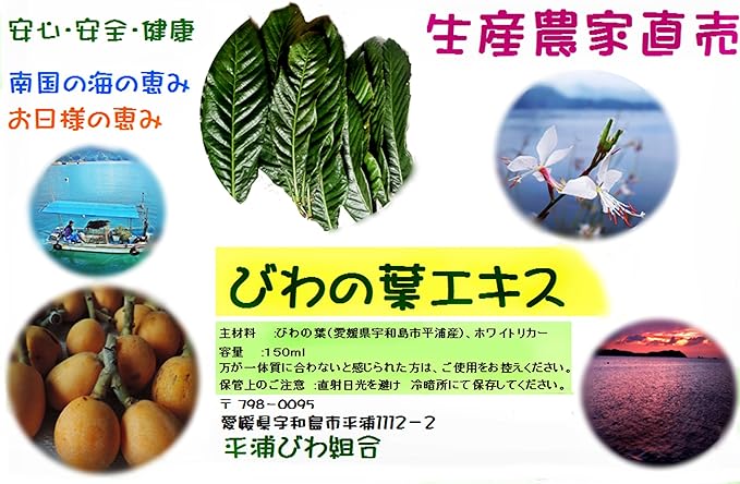 8 Months Extract, 2 times Thicker: For Skin, Gargle, Hair, and Insect Bites, 5.6 fl oz (160 ml); 3 times as much as Loquat Leaves: Loquat Leaf Extract, No Pesticides or Exhaust Gas, T-Cap, Spray - NewNest Australia