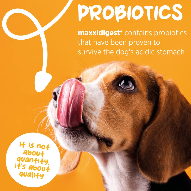 maxxidigest+ Probiotic & Prebiotic Powder Supplement - Digestive & Immune Support for Dogs, 13.2oz 13.2 Ounce (Pack of 1) - PawsPlanet Australia
