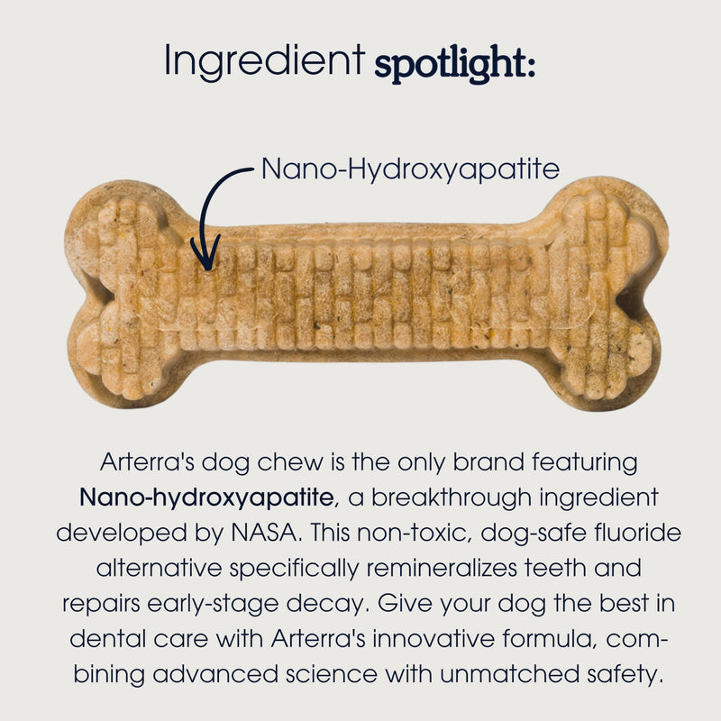 Arterra Pet Science Dog Dental Chews with Nano-Hydroxyapatite Next-Generation Daily Chews for Stronger Teeth, Fresh Breath, and Healthy Gut, for Small Breeds, 14 Count, Pack of 1