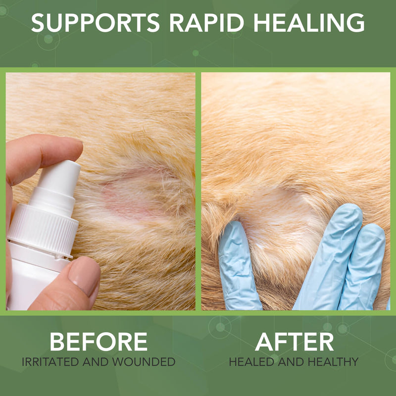 NOVEHA Dog Wound Therapy Spray - Itch Relief & Skin Repair for Dogs - Clean Wounds with Soothing Hypochlorous Acid for Allergies and Other Dog Skin Problems - Immediate Itching Relief - 8 oz Bottle - PawsPlanet Australia