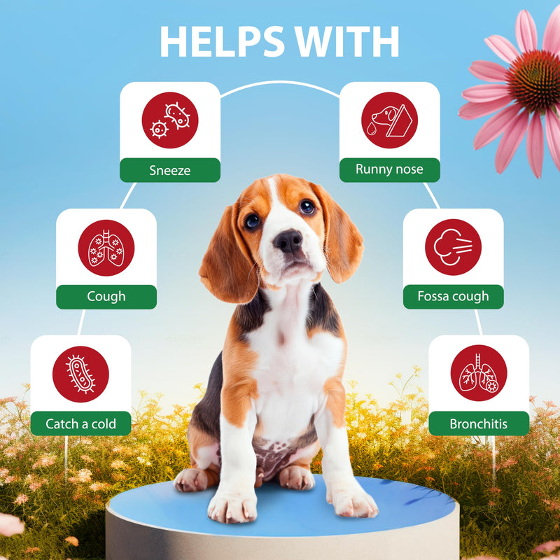 Kennel Cough Drops for Dogs & Cats Cough Relief Dry and Wet Pet Cough Allergy Relief - for Dogs of All Breeds & Sizes - PawsPlanet Australia