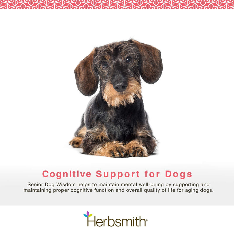 Herbsmith Senior Dog Wisdom – Dog Dementia Supplement – DHA for Senior Dog Brain Health - Senior Supplement for Dogs- 60ct Small Chews 60ct Small Chews (For Dogs Under 30lbs) - PawsPlanet Australia