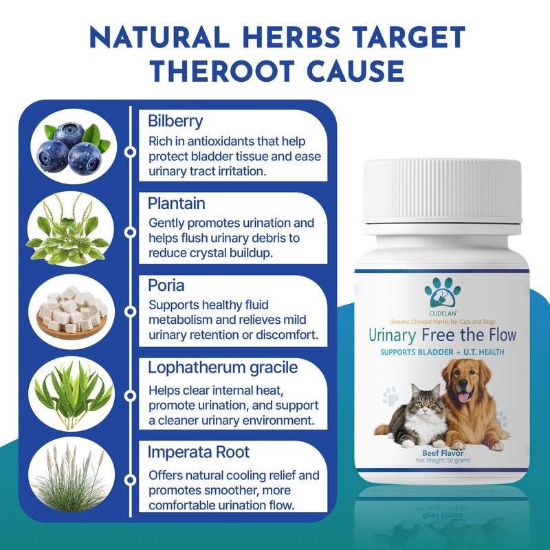 Dog & Cat Bladder Support & Kidney Stone Relief, Bladder Kidney Stones Dissolver, Urinary Tract Supplements for Pet, Herbal Powder for Dog UTI Treatment & CatUrinary Health,Urinary Free The Flow,50g