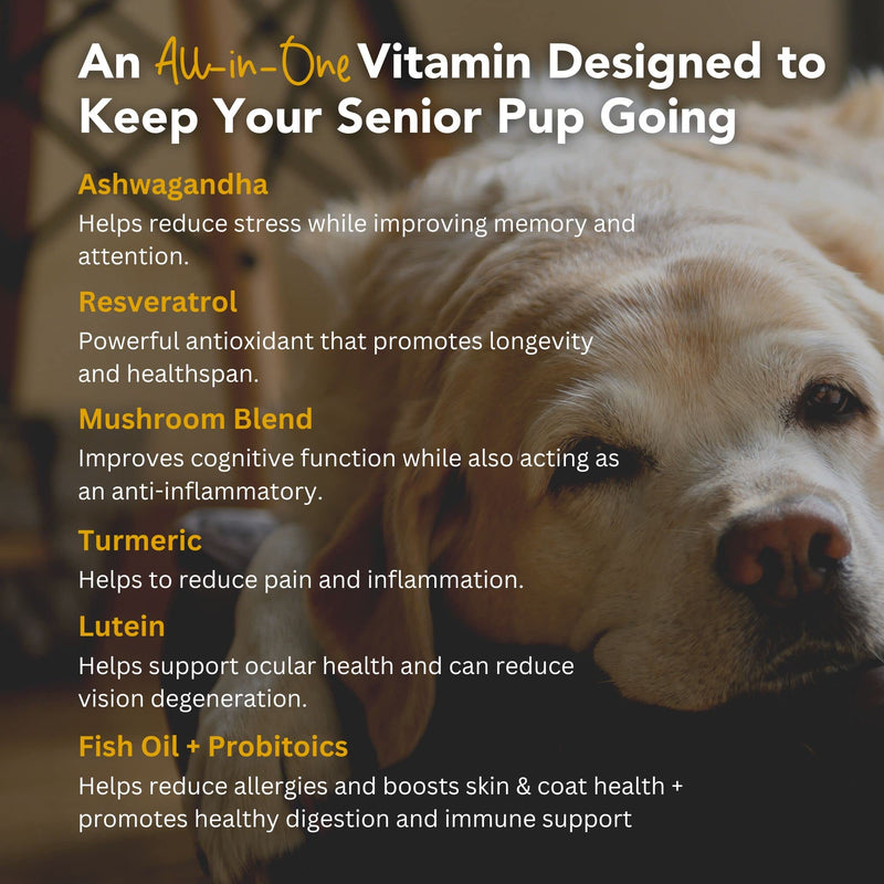 iHeartDogs Senior Super 7 Daily Dog Multivitamin - 7-in-1 Vitamin for Dogs Supports Anti-Aging with Antioxidants, Probiotics, Lion's Mane, Turkey Tail, & Ashwagandha for Longevity & Cognitive Boost - PawsPlanet Australia