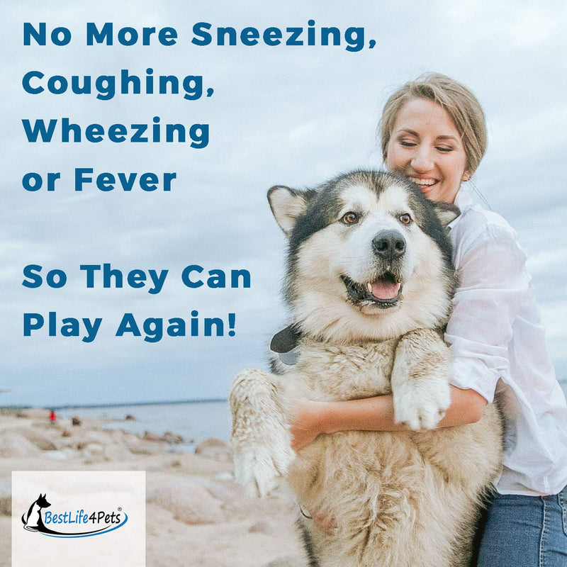 BestLife4Pets Breathe Easy Respiratory Support for Dogs - Natural Relief for Kennel Cough, Runny Nose, Sneezing and Sinus Congestion - Non-drowsy, Easy to Use (450 Pills) - PawsPlanet Australia