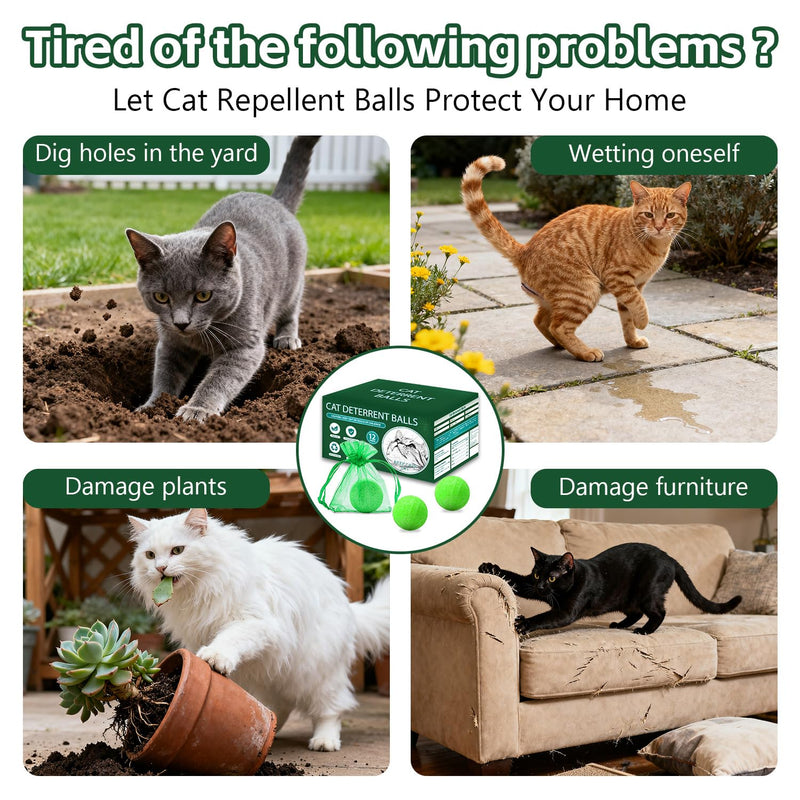 Cat Repellent Outdoor to Keep Cats Away (12Pack) Natural Peppermint Oil Cat Deterrent Outdoor and Indoor (Green) Green