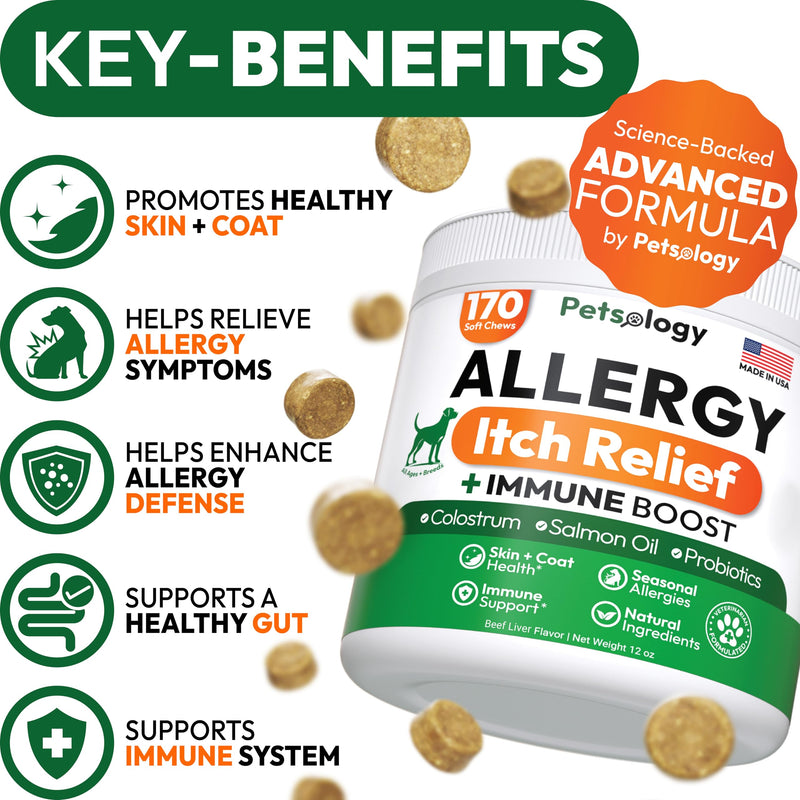 Dog Allergy Relief Chews - 170 Dog Allergy Chews - Itch Relief for Dogs - Omega 3 Fish Oil, Probiotics For Itchy Skin & Hot Spots Allergies, Paw Licking, Dry Skin & Coat Supplement - Beef Liver Flavor 170 Chews Allergy Skin & Coat Chews
