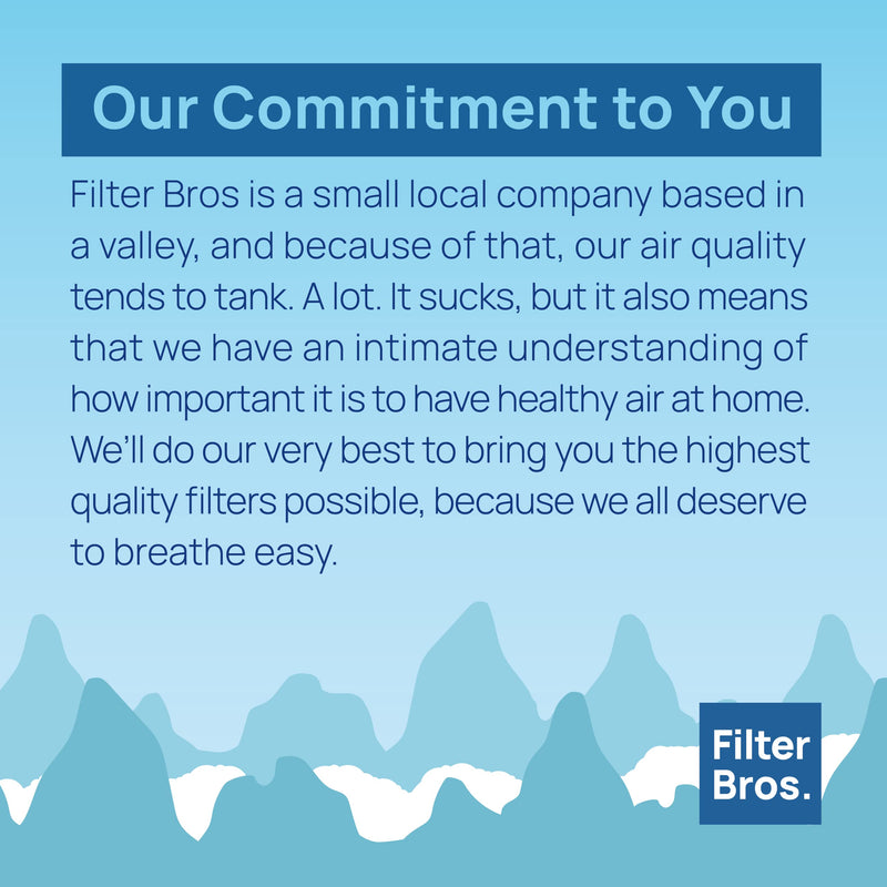 Filter Bros 115115 Replacement HEPA Filter A Fits Winix Plasmawave 5500-2 5300-2