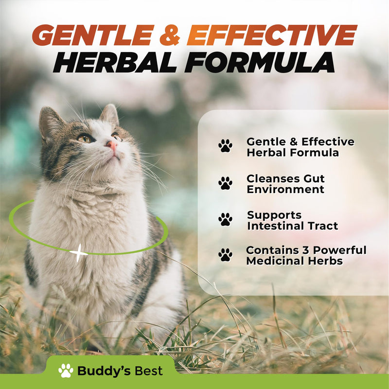 Natural Dewormer for Cats | Herbal Blend with 3 Powerful Medicinal Herbs | 100% Natural | Supports Gut & Intestinal Health | Gentle Yet Effective - PawsPlanet Australia