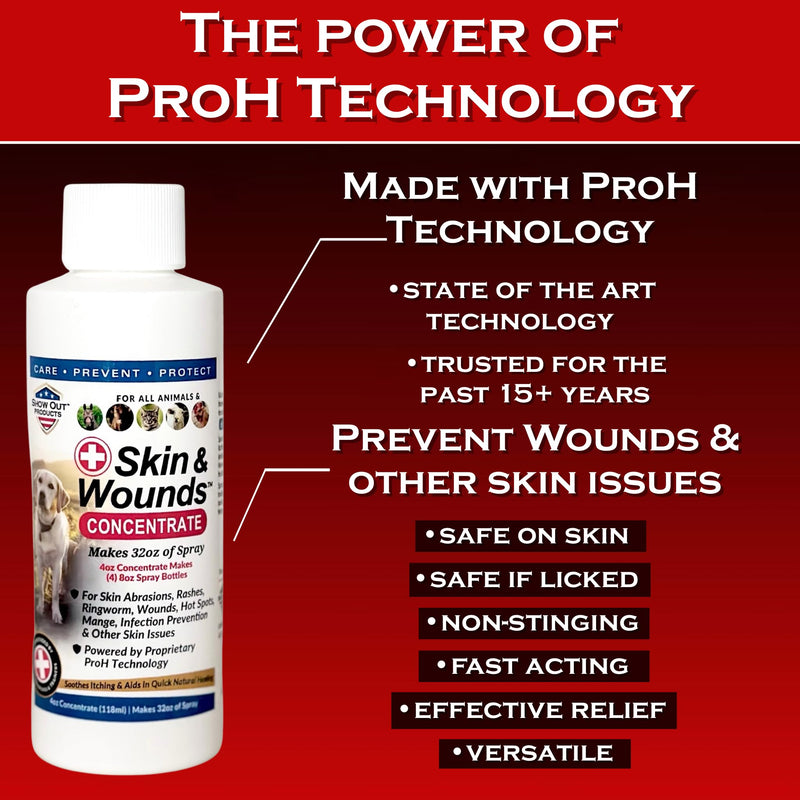 Show Out Skin & Wound Spray for Dogs & Cat - Remedy for Dog Hot Spot, Cleans and Repairs skin, Wound Care, Relief for Hot Spots, Skin Allergies, Dry, Itching Skin (Makes 32 oz of Solution for Pet)