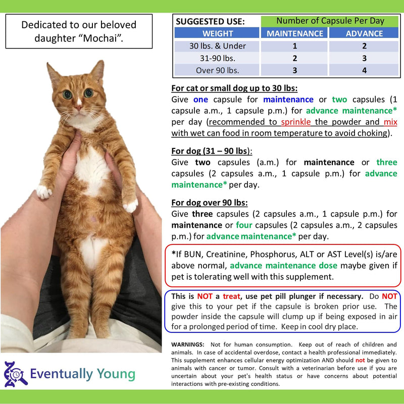 12-in-1 Kidney Support for Dog & Cat with NMN & Fisetin - Super Phosphate Binder Kidney and Liver Supplement for Feline, Canine Healthy Aging & Longevity (60 Capsules) 60 Capsules - PawsPlanet Australia