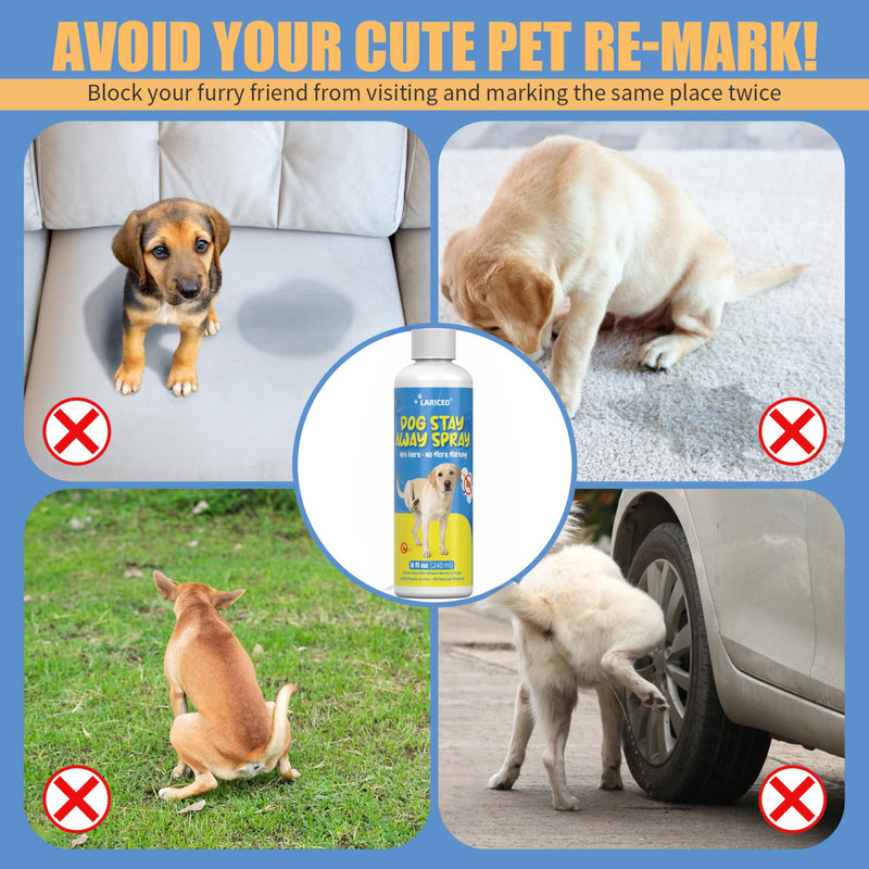 8oz Indoor Marking Control Spray for Dogs – No Pee Spray for Dogs Indoor - Stop Male Dog from Marking - Not Mark Here for Dogs 8.0 Fl Oz