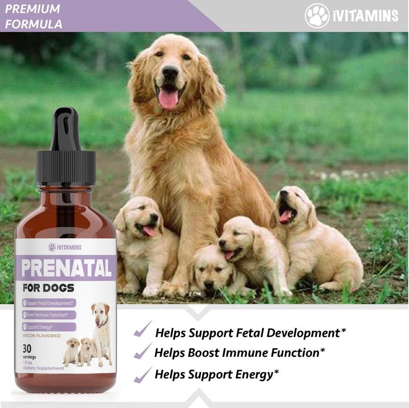 Dog Prenatal Vitamins | Prenatal Vitamins for Dogs | Includes Vitamin B Complex & Vitamin C | Dog Essentials | Whelping Supplies | Prenatal Dog Vitamins | Prenatal for Dogs | 1 Pack: 30 Servings - PawsPlanet Australia