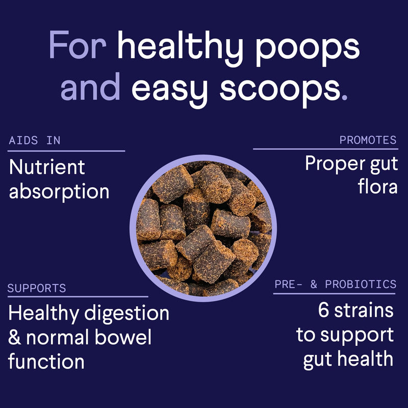 Finn Digestive Probiotics for Dogs - Complete Digestive System Support with Pumpkin, Prebiotics, & Live Probiotics - Vet Recommended & Made in The USA - 90 Soft Chews (Peanut Butter) Peanut Butter - PawsPlanet Australia