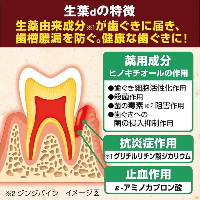 Fresh Leaves (Prevents Pyorrhea) Medicated Toothpaste, Japanese and Chinese Herb Flavor, 3.5 oz (100 g), Quasi-drug - NewNest Australia
