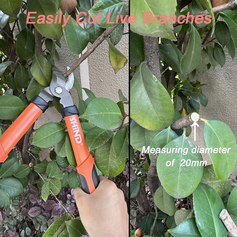 SHIND Lopper Heavy Duty Branch Cutter Tree Clippers with Compound Action, Chops Thick Branch Ease, Garden Loppers Pruning, 15 Inch Tree Trimmer with 1.6” Clean Cut Capacity (15 Inch）