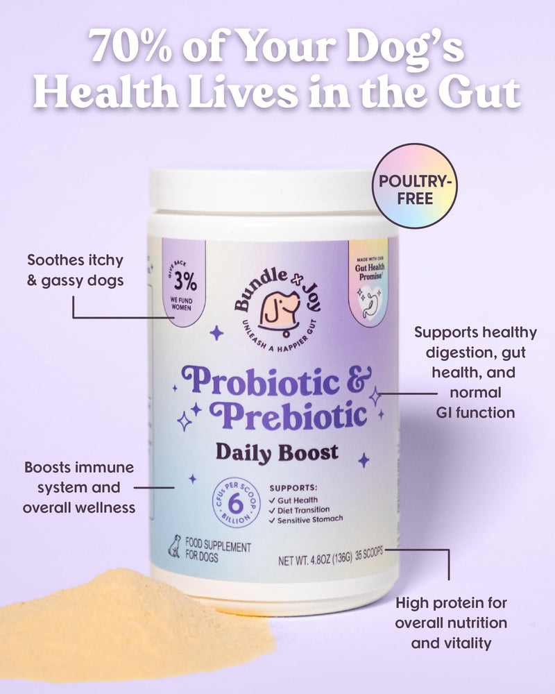 Bundle x Joy Daily Prebiotic & Probiotics for Dogs Boost - Gut Health Immune Formula with Beef Bone Broth for Dogs, 6 Billion CFU Dog Supplements, 35 Scoops, 4.8 oz - Made in USA