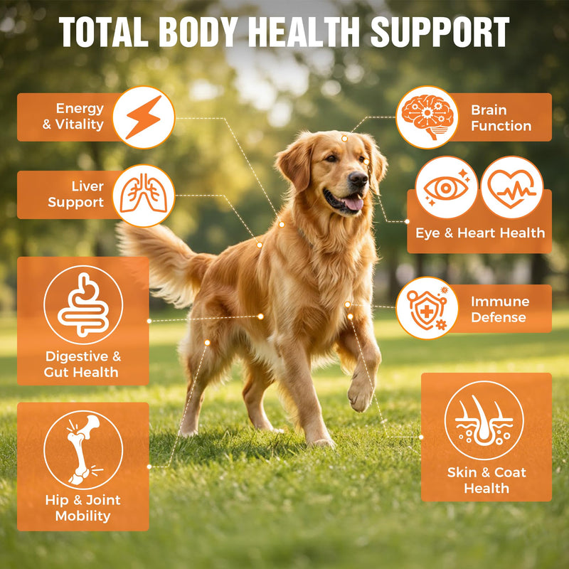 8-in-1 Dog Multivitamin Soft Chews - Glucosamine for Joint Support, Probiotics for Gut Health, Omega-3 for Skin and Coat - Daily Health Supplement for All Breeds
