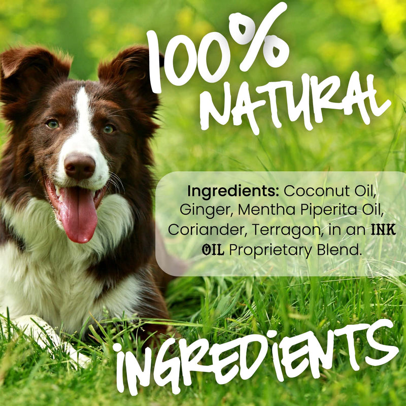 Pup Oils Sick Pup Essential Oil for Dogs - Soothes Upset Stomachs & Vomiting - Organic Calming Oils - Probiotics & Digestive Enzymes for Pet Gut Health - Dog Stomach Relief Probiotic Supplement - 1 oz - PawsPlanet Australia