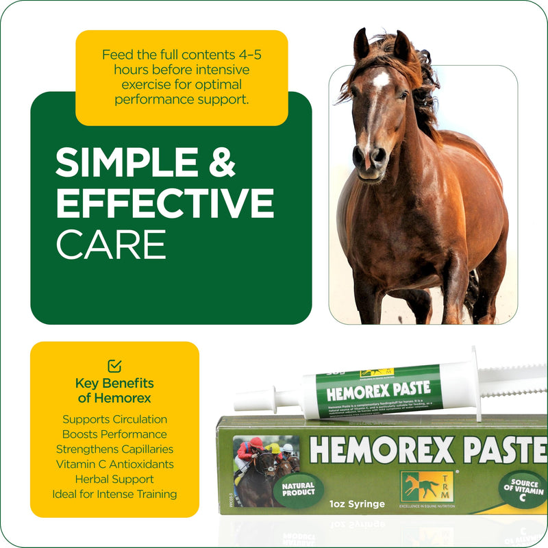 TRM Hemorex Paste for Healthy Horses, Complimentary Feeding Stuff, Essential Nutrients for Before Intensive Exercise - 1.05 oz 1.05 oz (30g) 30g