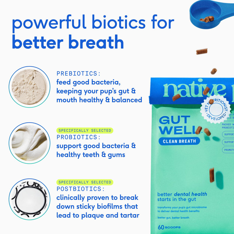 Native Pet Oral & Joint Health Bundle: Hip & Joint Supplement for Dogs - Supports Cartilage, Muscles & Anti-Inflammatory & GutWell Clean Breath - Dog Breath Freshener - 60 Scoops