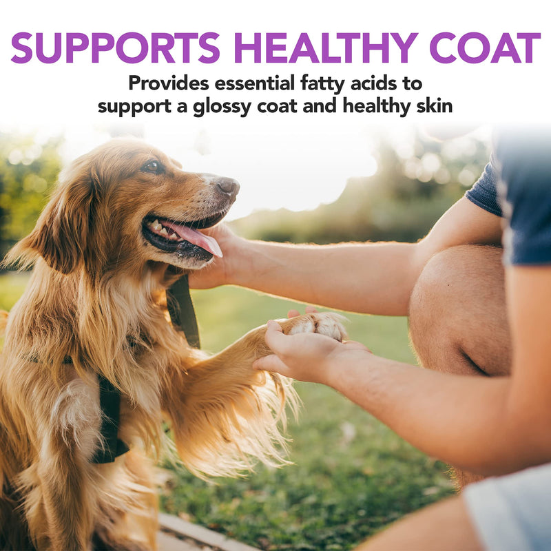 Vet’s Best Brewer’s Yeast & Garlic Chews| Healthy Skin & Coat Protection for Dogs | Formulated with Veterinary Recommended Dosage | 60 Count - PawsPlanet Australia