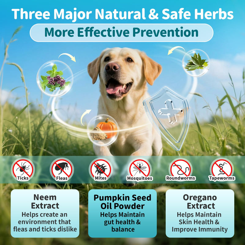 Flea and Tick Prevention Support for Dogs, Natural Flea Treatment Drops with Neem, Oregano for Puppy Oral Flea and Tick Treatment Supplement for All Breeds and Ages - Chicken Flavor, 2 FL.Oz