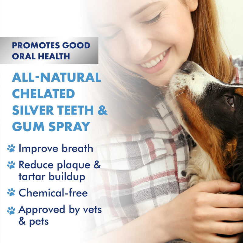 PetSilver Teeth & Gum Spray, Patented Chelated Silver, Natural Dog Breath Freshener, Cat and Dog Dental Cleaning without Brushing, Targets Tartar and Plaque, Dog Dental Spray, Made in USA, 4 oz. 1 Count (Pack of 1) - PawsPlanet Australia