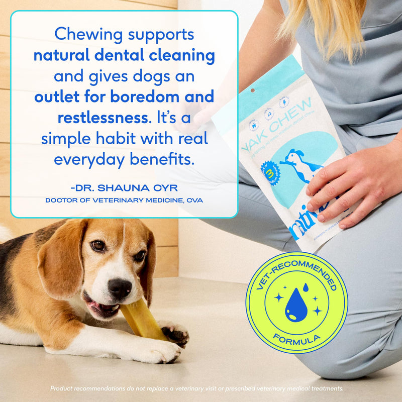 Native Pet Advanced Calming Chews for Dogs 60 Ct & 5 Small Yak Cheese Himalayan Dog Chews - Long Lasting Dental Sticks for Small Breeds Supports Mental Enrichment & Helps with Anxiety Related Behavior