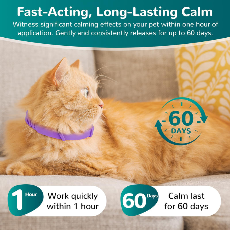 Calming Collar for Cats, Pheromone Collar for Cat Anxiety Relief, 60 Days Adjustable Waterproof TPE, Cat Calming Collars Helps Calm During Loud Noises and Separation (Black, 2 Pack) Black - PawsPlanet Australia