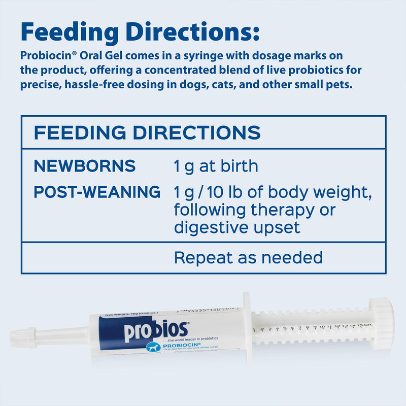 Probios Probiocin Oral Probiotic Gel for Dogs and Cats, Digestive and Immune Support Supplement, Easy Syringe Administration, Suitable for Newborns to Senior Pets, 15g Tube (Pack of 2) 15 g (Pack of 2)
