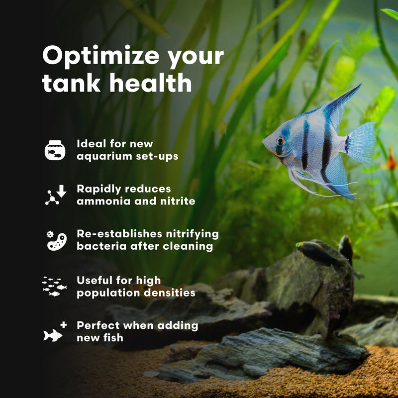 Brightwell Aquatics MicroBacter Start XLF - Concentrated Freshwater Nitrifying Bacteria - Quick Start Fish Tank Starter, Lift Microbe Levels & Water Filtering - Aquarium Water Treatments, 4.22 fl oz 125-ml