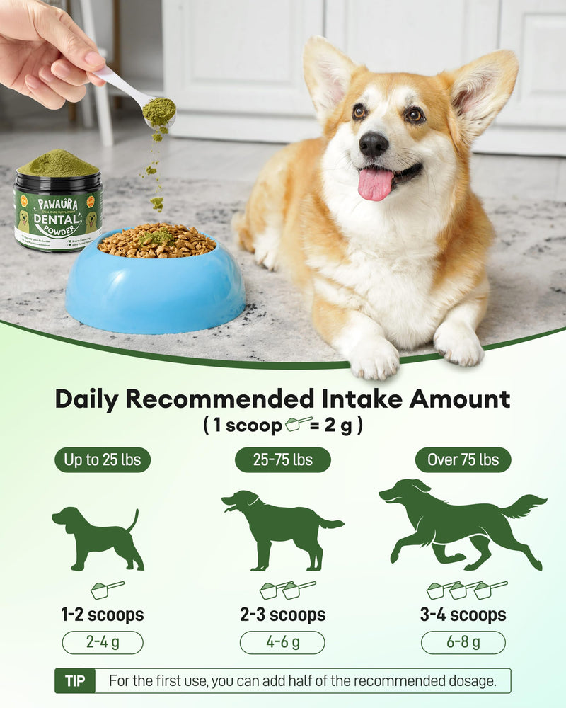 Dog Teeth Cleaning Powder,Dog Breath Freshener with Probiotics for Targets Tartar & Bad Breath,Dog Dental Powder for Teeth Cleaning of All Breeds,180g(6.35 oz) - Made in USA 6.35 Ounce (Pack of 1)