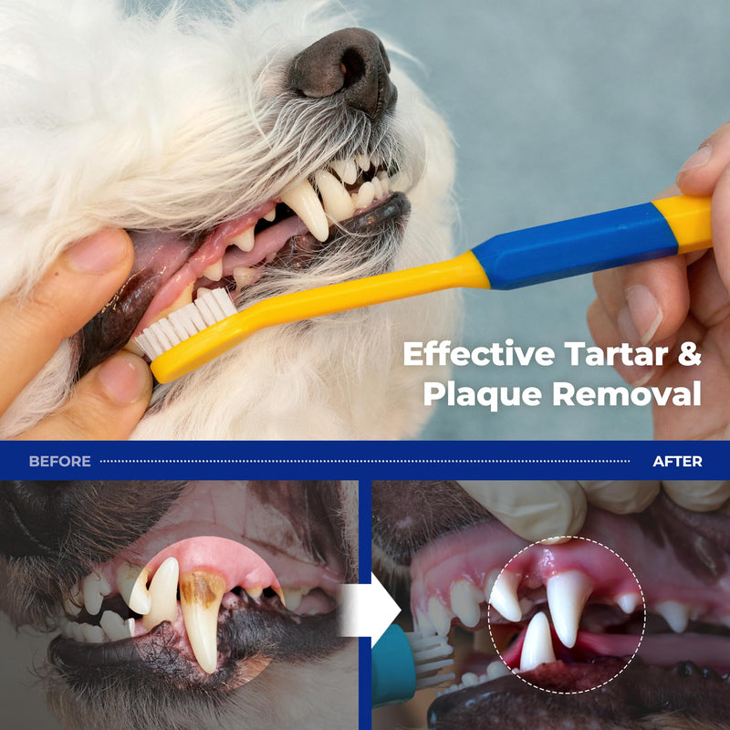 PETHROOM Dog & Cat Dental Kit for Daily Care – Enzymatic Toothpaste & Soft Bristle Toothbrush (Medium), Plaque & Tartar Control, EWG Verified, Fresh Breath, Pet Friendly Flavor, 2.1 oz