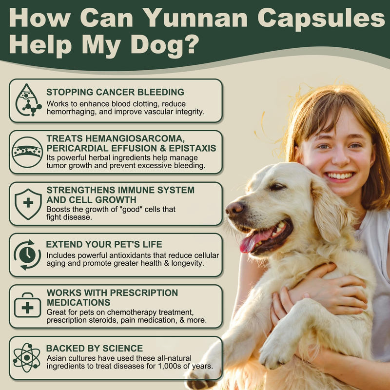 Yunnan Sanqi Capsules for Dogs, Support Stop Bleeding, Hemangiosarcoma, Hemoabdomen, Pericardial Effusion, Cancer Bleeding, Severe Bruising, Ulcer-Related Bleeding, 90 Capsules