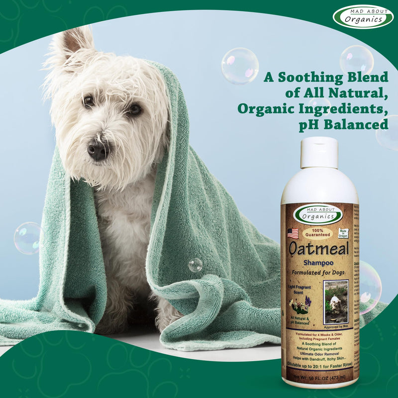 Oatmeal Dog Shampoo for Itchy Skin - Gentle, pH-Balanced with Calming Vanilla & Lavender - Ideal for Dry, Flaky & Sensitive Coats - Mild Formula for Comfort - 16 oz Made in USA 16 Ounces - PawsPlanet Australia